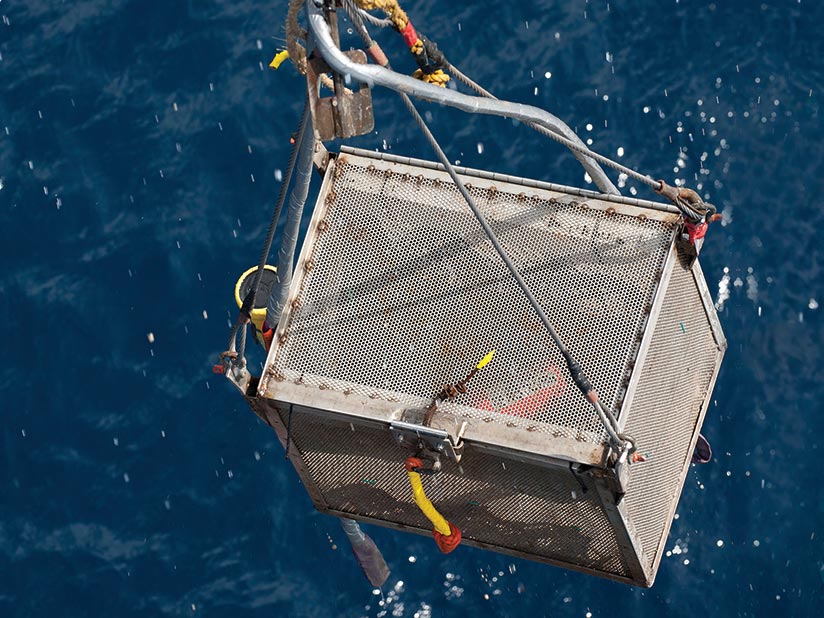 Finding Alternatives