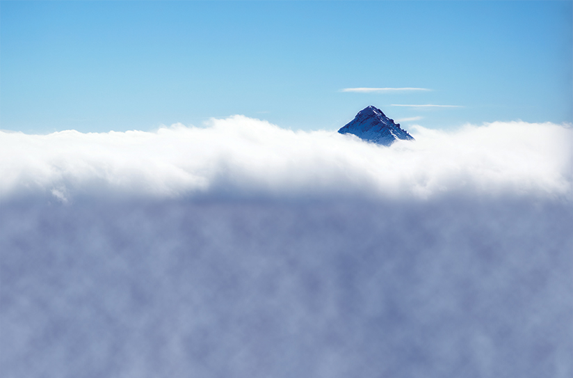 Why Good Forecasts Go Bad