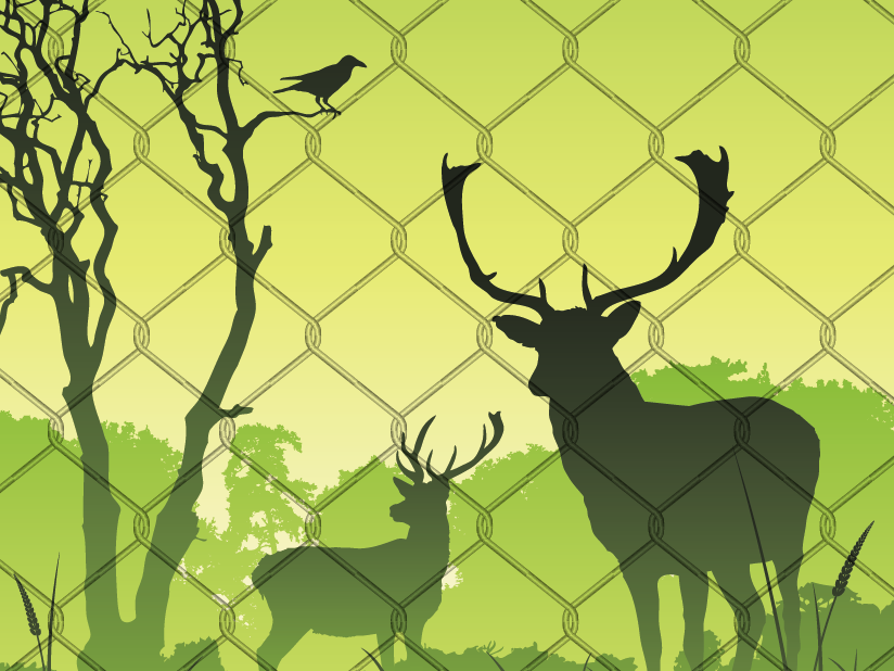 Keeping the Beasts at Bay