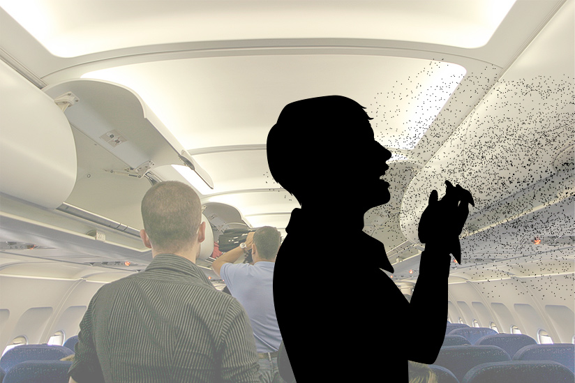 In Search of Healthier Boarding