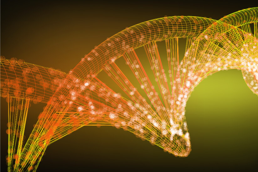 Is Safety in the DNA?