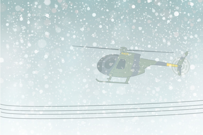 Low Flight on a Snowy Day
