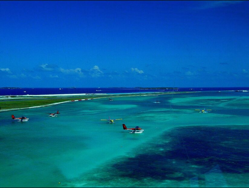 IATA Urges Regulatory Flexibility in Coping With Pandemic