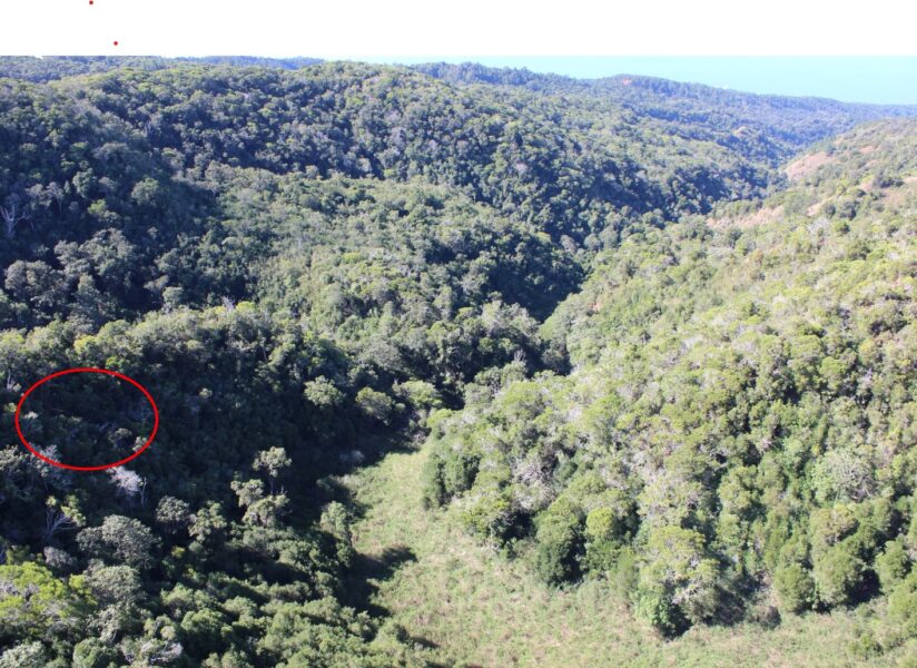 ‘100 Percent Preventable’