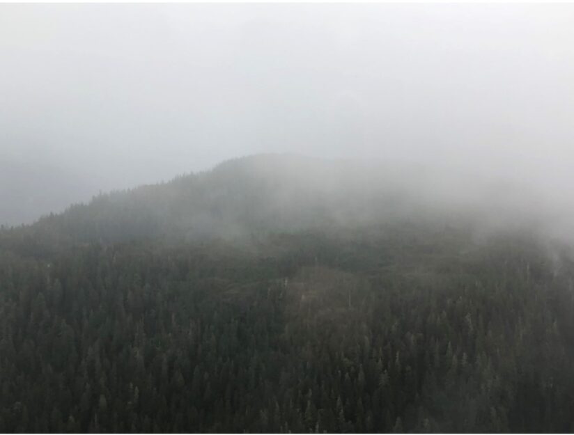 ‘Too Many Air Tour Tragedies’