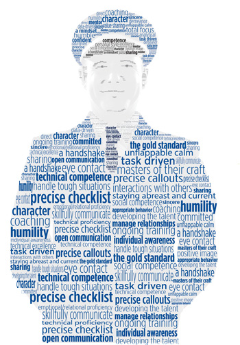 Parsing ‘Professionalism’