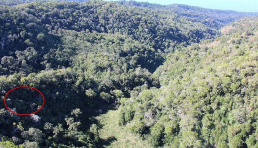 ‘Inadequate Maintenance’