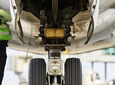 A New BARS Program Team Member