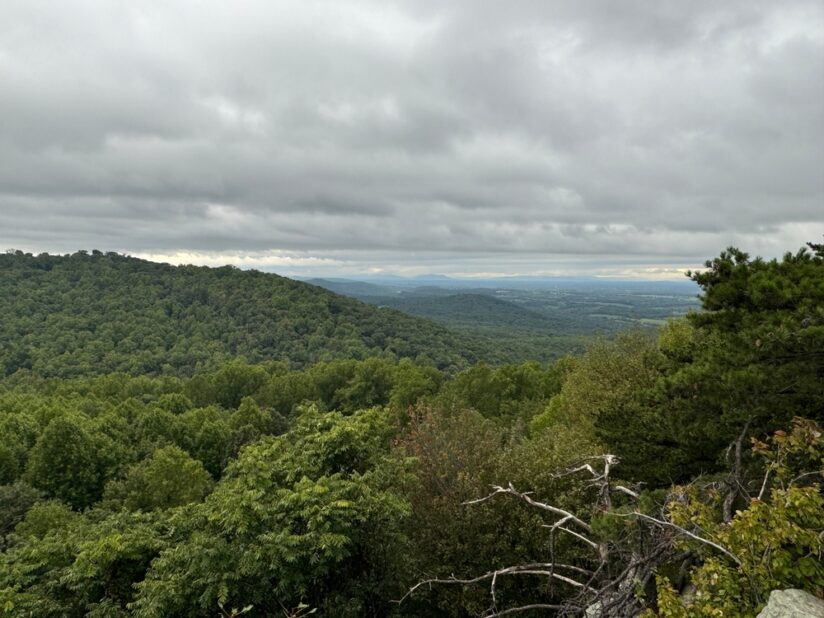 ‘Inadequacies and … a Misunderstanding’