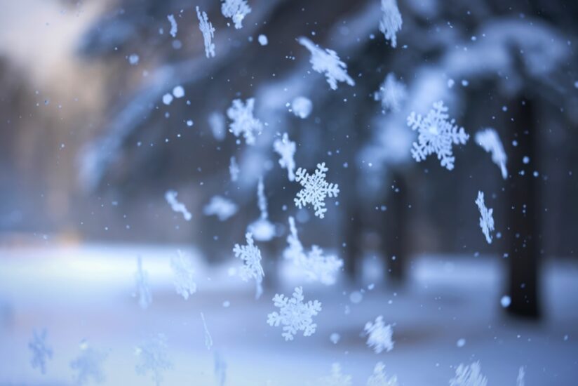 Encounter With a Windrow